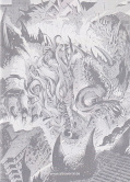 Backcover Drache & Chamäleon 1