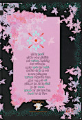 Backcover Losing Neverland 1