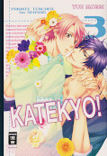 Frontcover Katekyo! 3