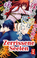 Frontcover Zerrissene Seelen 2