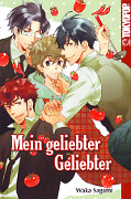 Frontcover Mein geliebter Geliebter 1