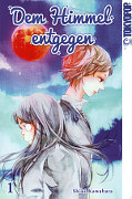 Frontcover Dem Himmel entgegen 1