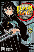 Frontcover Demon Slayer - Kimetsu no Yaiba 12