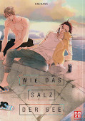 Frontcover Wie das Salz der See 1