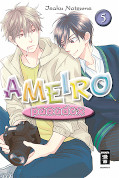 Frontcover Ameiro Paradox 5