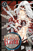 Frontcover Demon Slayer - Kimetsu no Yaiba 22