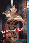 Frontcover Bakemonogatari 13