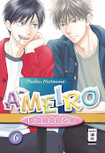 Frontcover Ameiro Paradox 6