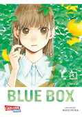 Frontcover Blue Box 4