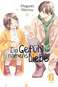 Frontcover Ein Gefühl namens Liebe 12