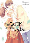 Frontcover Ein Gefühl namens Liebe 13