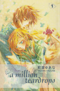 Frontcover A Million Teardrops 1