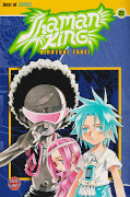 Frontcover Shaman King 22