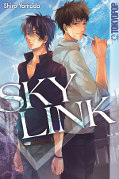 Frontcover Sky Link 1