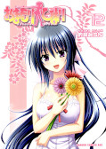 japcover Talisman Himari 12