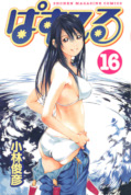 japcover Pastel 16