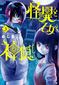 japcover Mysterious Disappearances 3