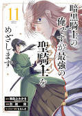 Jap.Frontcover Dark Paladin 11