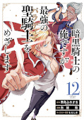 Jap.Frontcover Dark Paladin 12