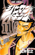 japcover Shaman King 11