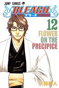 japcover Bleach 12