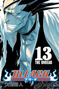 japcover Bleach 13