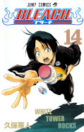 japcover Bleach 14