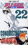 japcover Bleach 22