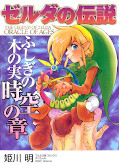 japcover The Legend of Zelda 5