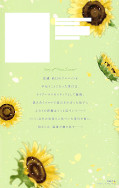 japcover_zusatz Hello, Innocent 3