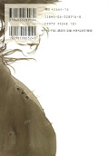 japcover_zusatz Vagabond 18