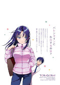 japcover_zusatz Toradora! 11