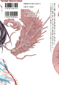 japcover_zusatz Dragon Girls 13