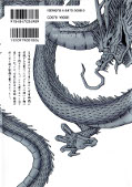 japcover_zusatz Dragon Girls 16