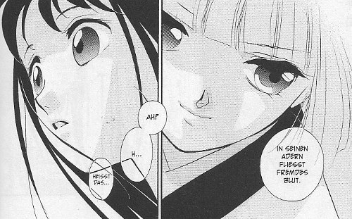 Tenchi Muyo!-Prinzessin Kaguya-D.N.A.-DNA-Vampire Knight-Manga-Sammlung-rare-VG 